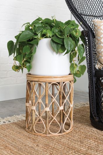 Kora Plant Stand/Side Table By Accent Decor | Stands | Modishstore - 5