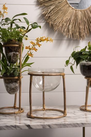 Teem Glass & Bamboo Plant Stand By Accent Decor | Planters, Troughs & Cachepots | Modishstore - 5
