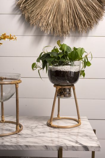 Teem Glass & Bamboo Plant Stand By Accent Decor | Planters, Troughs & Cachepots | Modishstore - 1