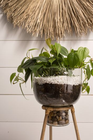Teem Glass & Bamboo Plant Stand By Accent Decor | Planters, Troughs & Cachepots | Modishstore - 3