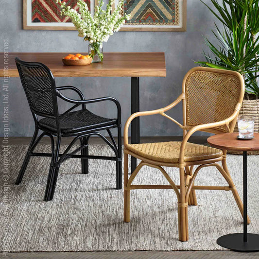 Lanai Chair-Black By Texture Designideas | Accent Chairs | Modishstore