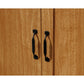 Storage Cabinet - 16 Deep Ho By Sauder | Cabinets | Modishstore - 4