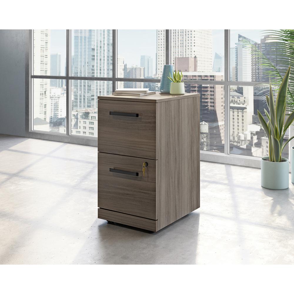 Commercial 2-Drawer Pedestal File Cabinet - Bg3353837 | Cabinets | Modishstore