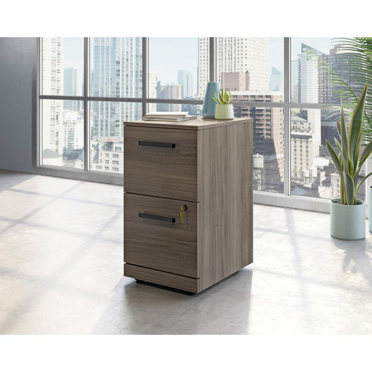 Commercial 2-Drawer Pedestal File Cabinet - Bg3353837 | Cabinets | Modishstore