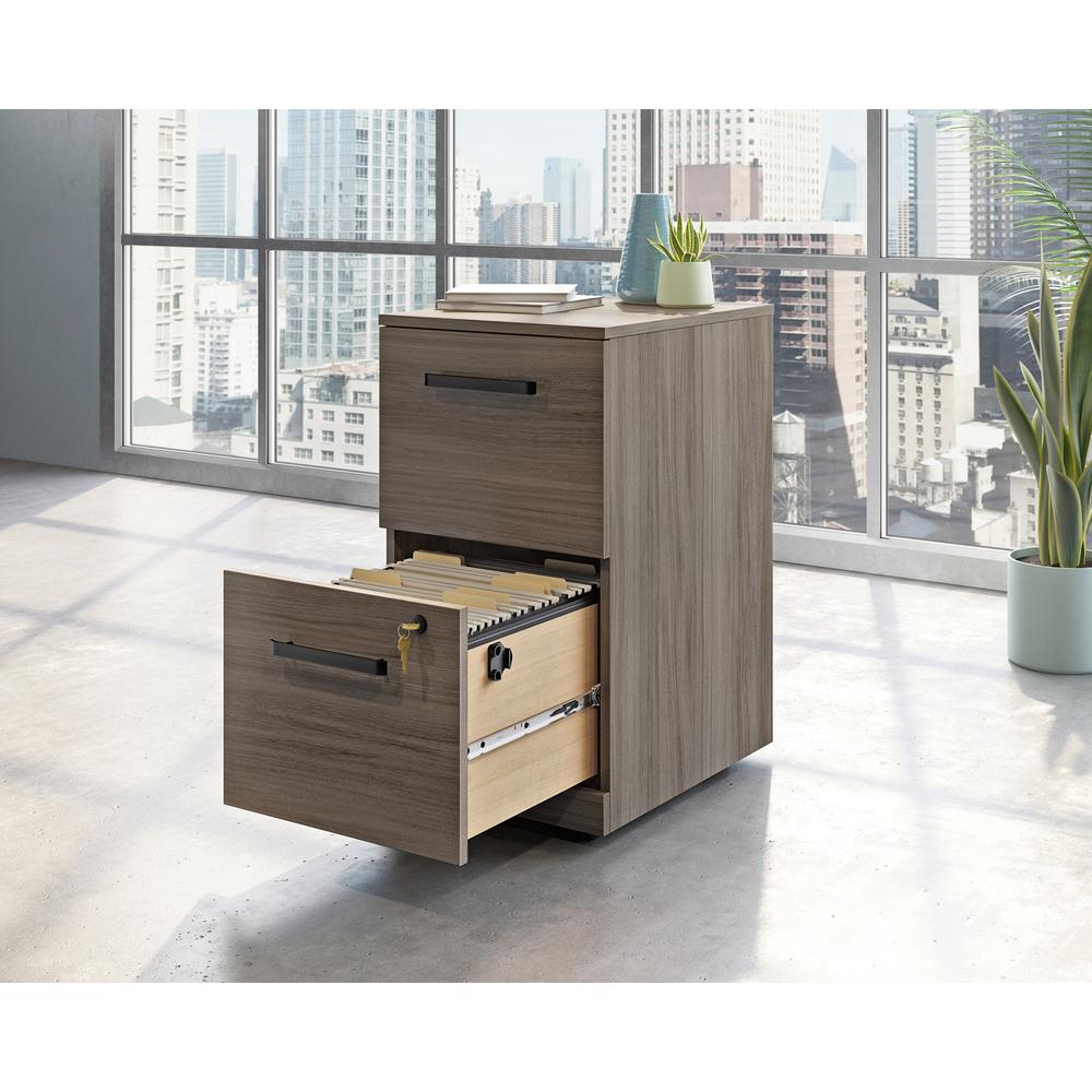Commercial 2-Drawer Pedestal File Cabinet - Bg3353837 | Cabinets | Modishstore - 2