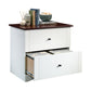 Lateral File Sw By Sauder | Cabinets | Modishstore - 2