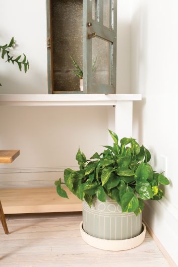 YONA POT By Accent Decor | Planters, Troughs & Cachepots | Modishstore - 2