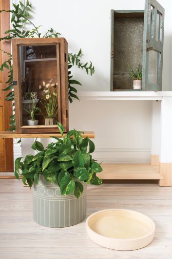 YONA POT By Accent Decor | Planters, Troughs & Cachepots | Modishstore