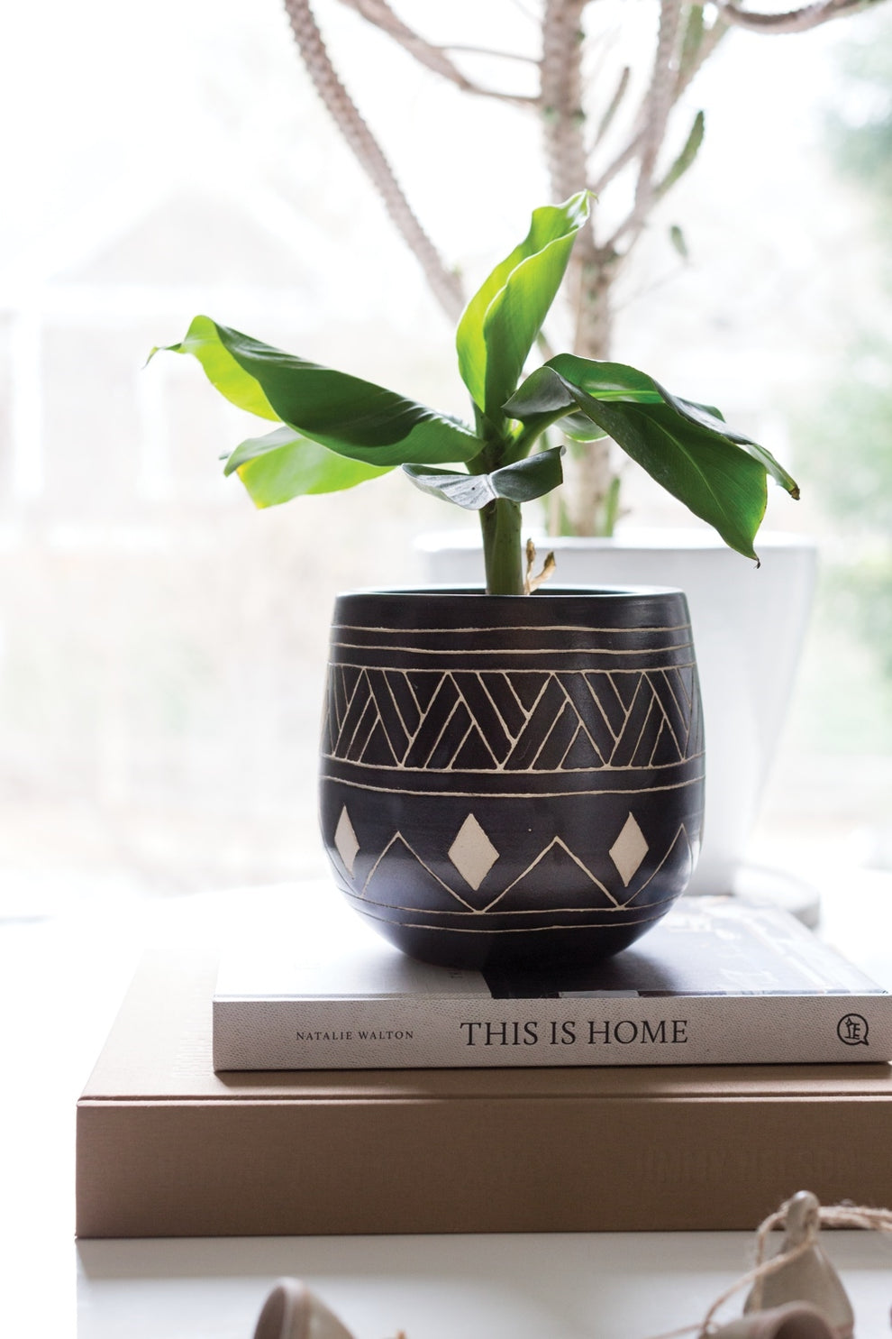 Bamba Collection Set Of 4 By Accent Decor | Outdoor Planters, Troughs & Cachepots | Modishstore - 2