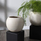 Hersch Tan Pot By Accent Decor | Planters, Troughs & Cachepots | Modishstore - 6