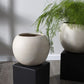 Hersch Tan Sculptural Ceramic Pot on a Cube Plant Stand By Accent Decor- 2 Sizes | Planters, Troughs & Cachepots | Modishstore - 6