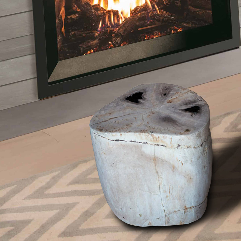 Petrified Wood Stool PF-2134 by Aire Furniture | Petrified Wood Stools | Modishstore - 6