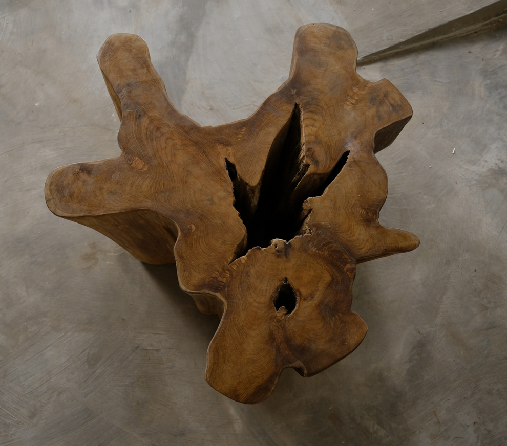 Old Teak Tree Slab Coffee Table-Hollow Center by Artisan Living | Coffee Tables | Modishstore-2