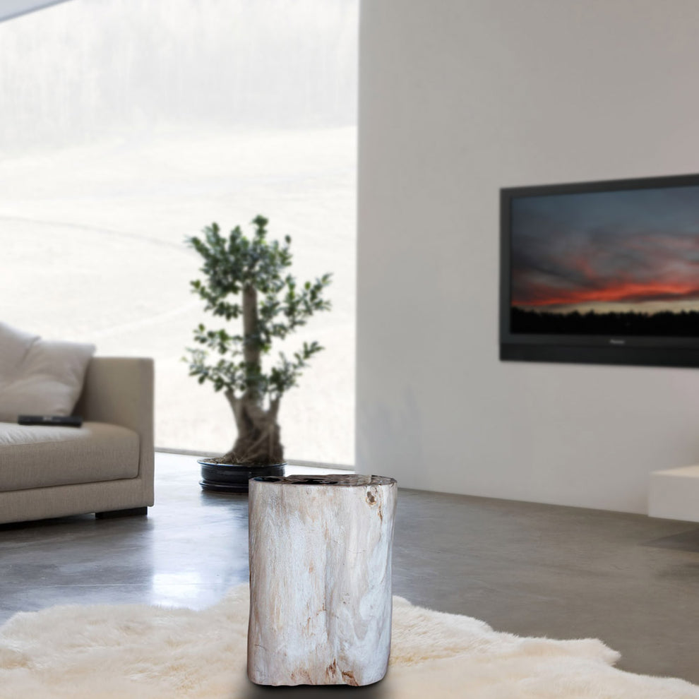 Petrified Wood Stool PF-2134 by Aire Furniture | Petrified Wood Stools | Modishstore - 5