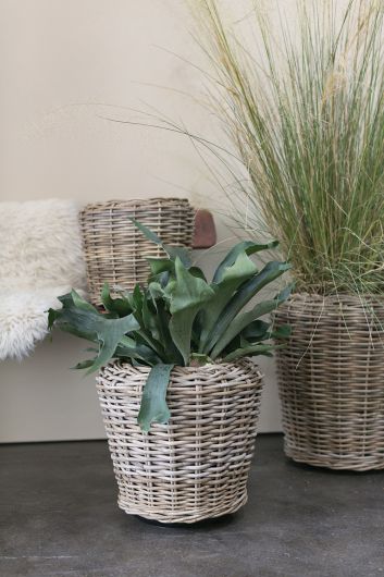 Rattan/Wicker Farmhouse Basket By Accent Decor | Planters, Troughs & Cachepots | Modishstore - 1