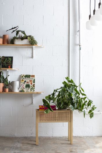 Kolyma Rattan & Wood Footed Planter Stand By Accent Decor | Planters, Troughs & Cachepots | Modishstore - 1