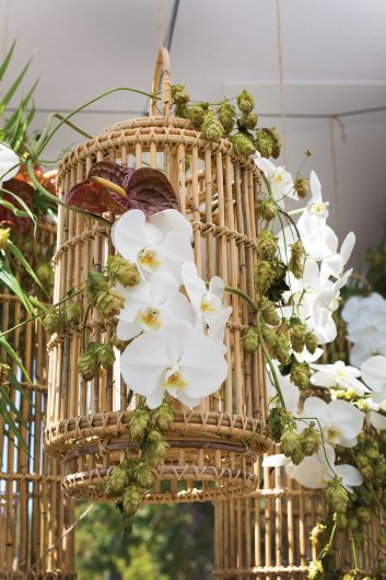 TINDRA LANTERN By Accent Decor | Lanterns | Modishstore - 4