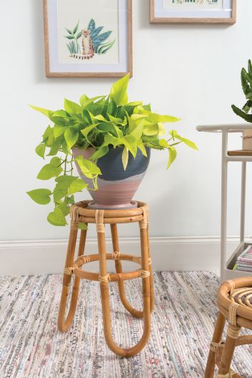 plant stand woven Barefoot Woven Rattan Plant Stand By Accent Decor-2 Sizes