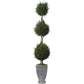 Uttermost Cypress Triple Topiary | Modishstore | Planters, Troughs & Cachepots-2