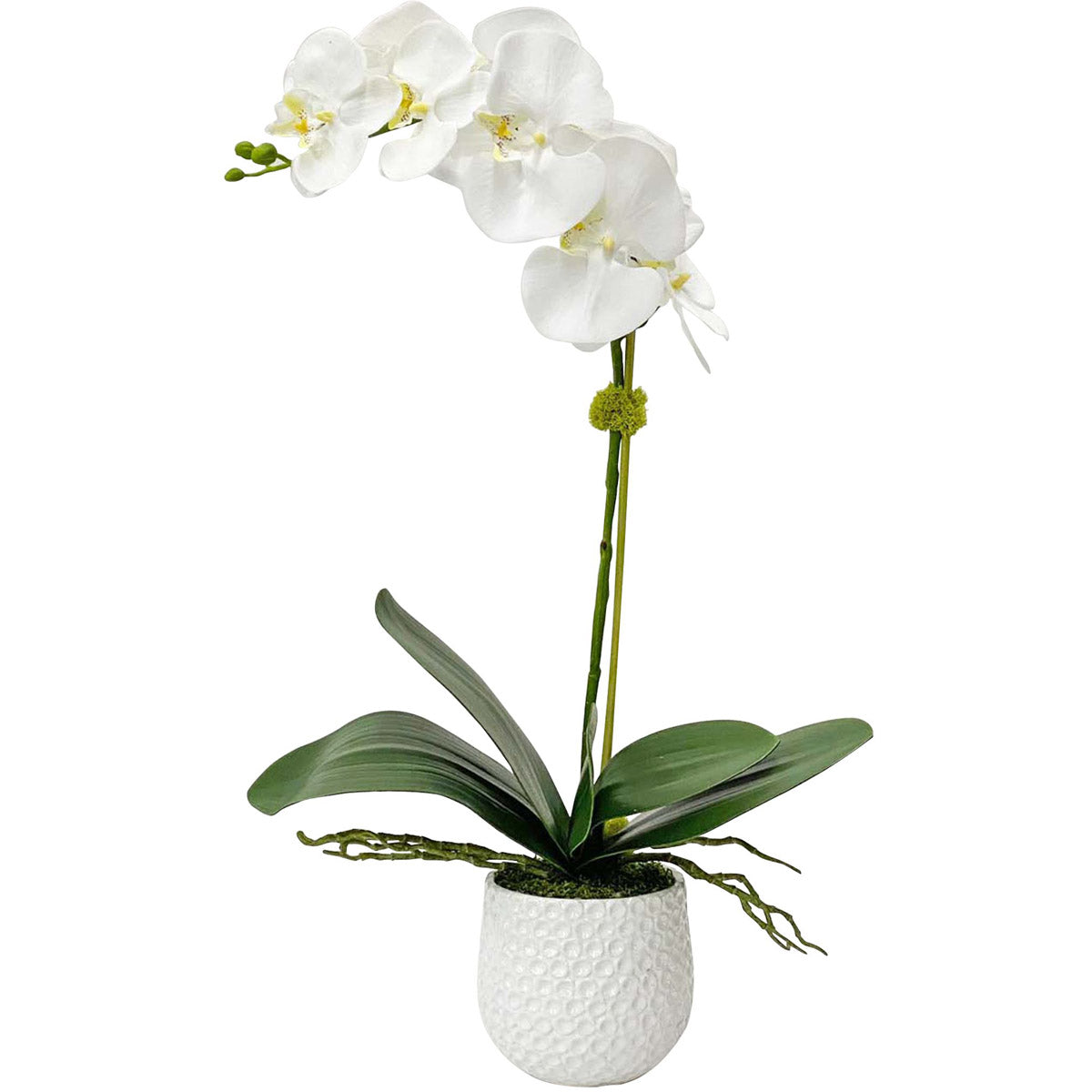 Uttermost Cami White Orchid | Modishstore | Planters, Troughs & Cachepots-2