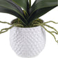 Uttermost Cami White Orchid | Modishstore | Planters, Troughs & Cachepots-3