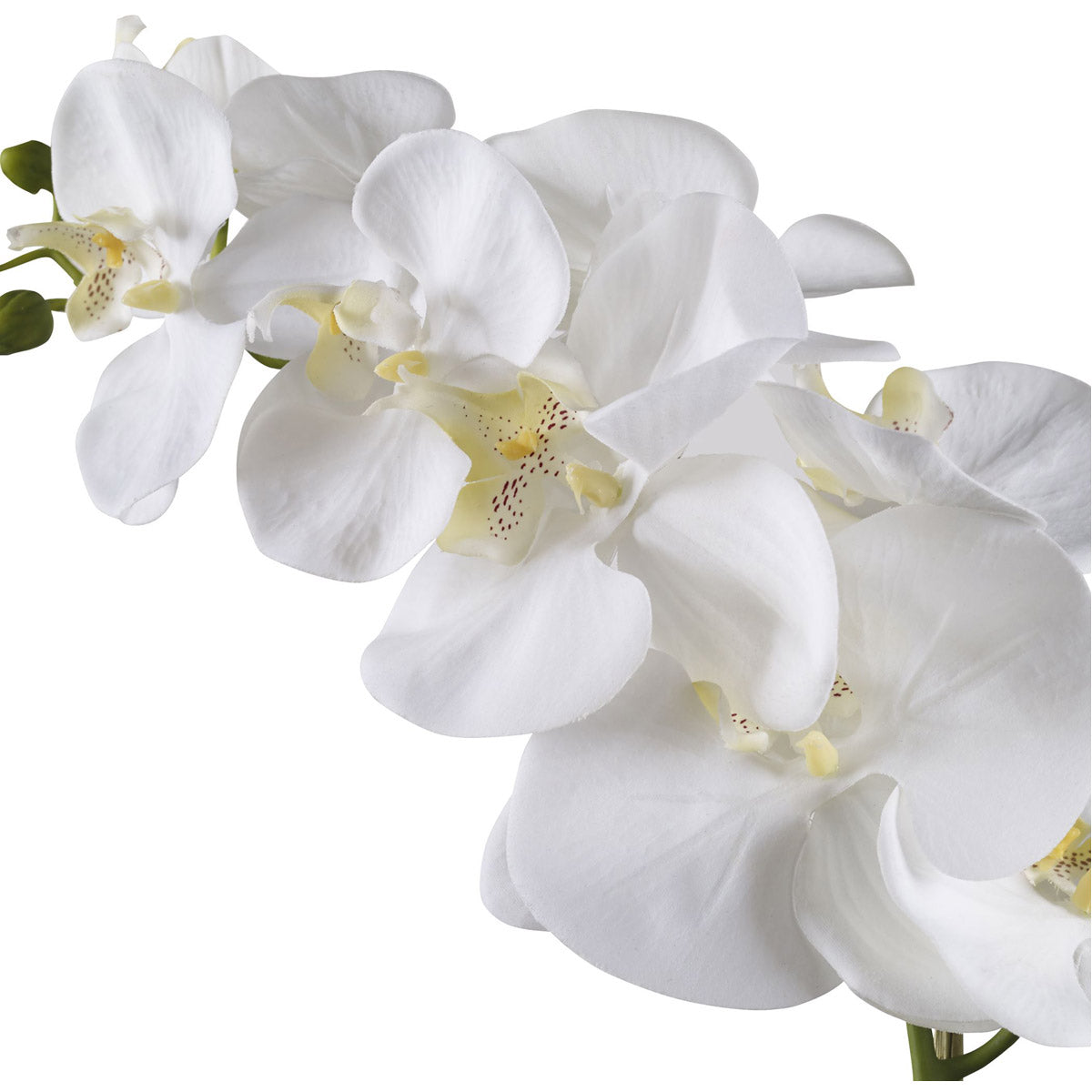 Uttermost Cami White Orchid | Modishstore | Planters, Troughs & Cachepots-4