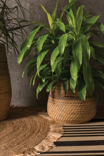 Guild Woven Cane Planter Collection By Accent Decor-3 Shapes | Planters, Troughs & Cachepots | Modishstore - 8