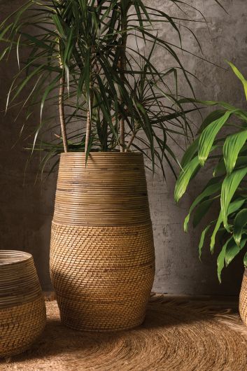cane pots for plants Guild Woven Cane Planter Collection By Accent Decor-3 Shapes
