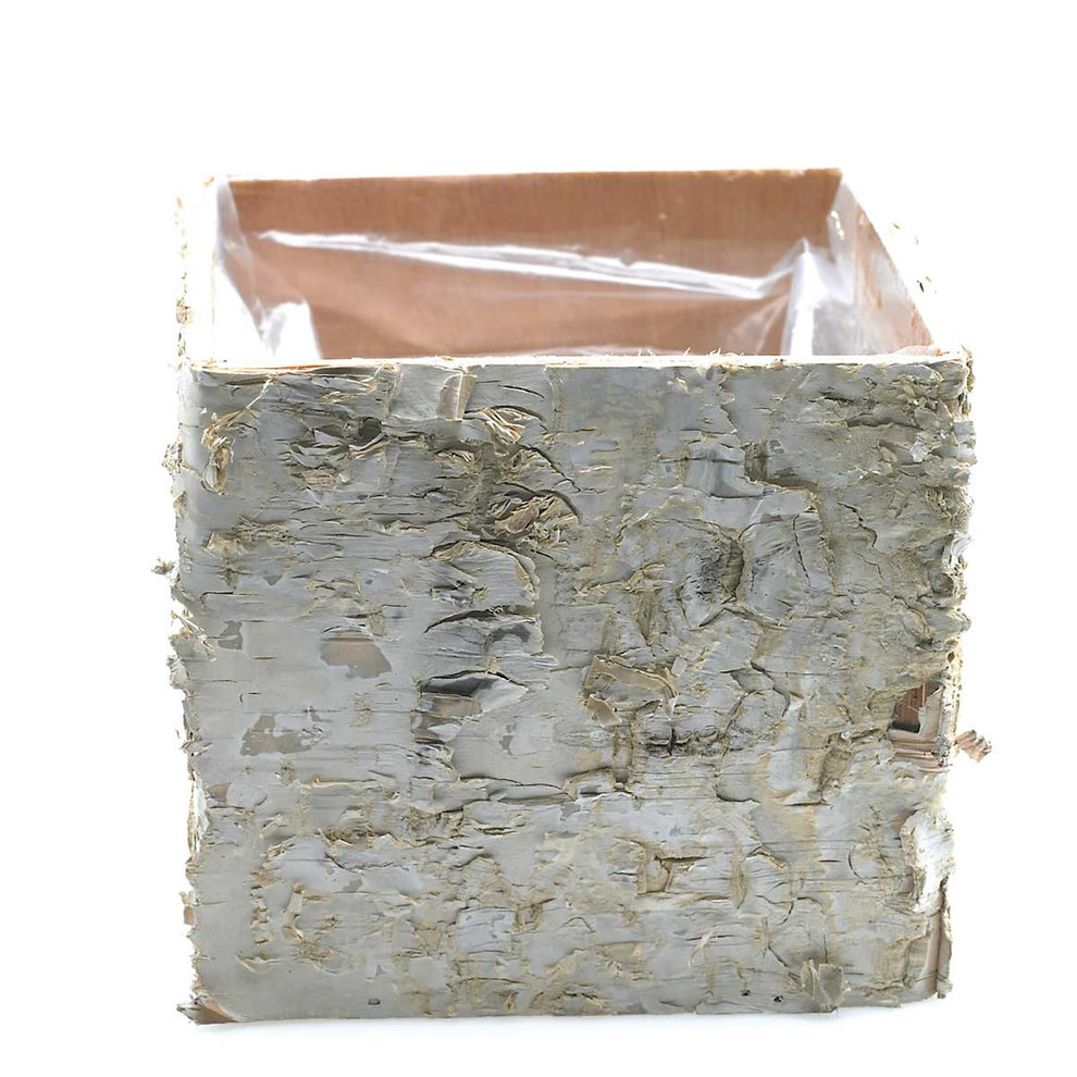 Birch Square Pots Set Of 4 By Accent Decor | Planters, Troughs & Cachepots | Modishstore - 2