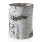 White Birch Cylinder and Bowl S/2 By Accent Decor | Planters, Troughs & Cachepots | Modishstore - 10