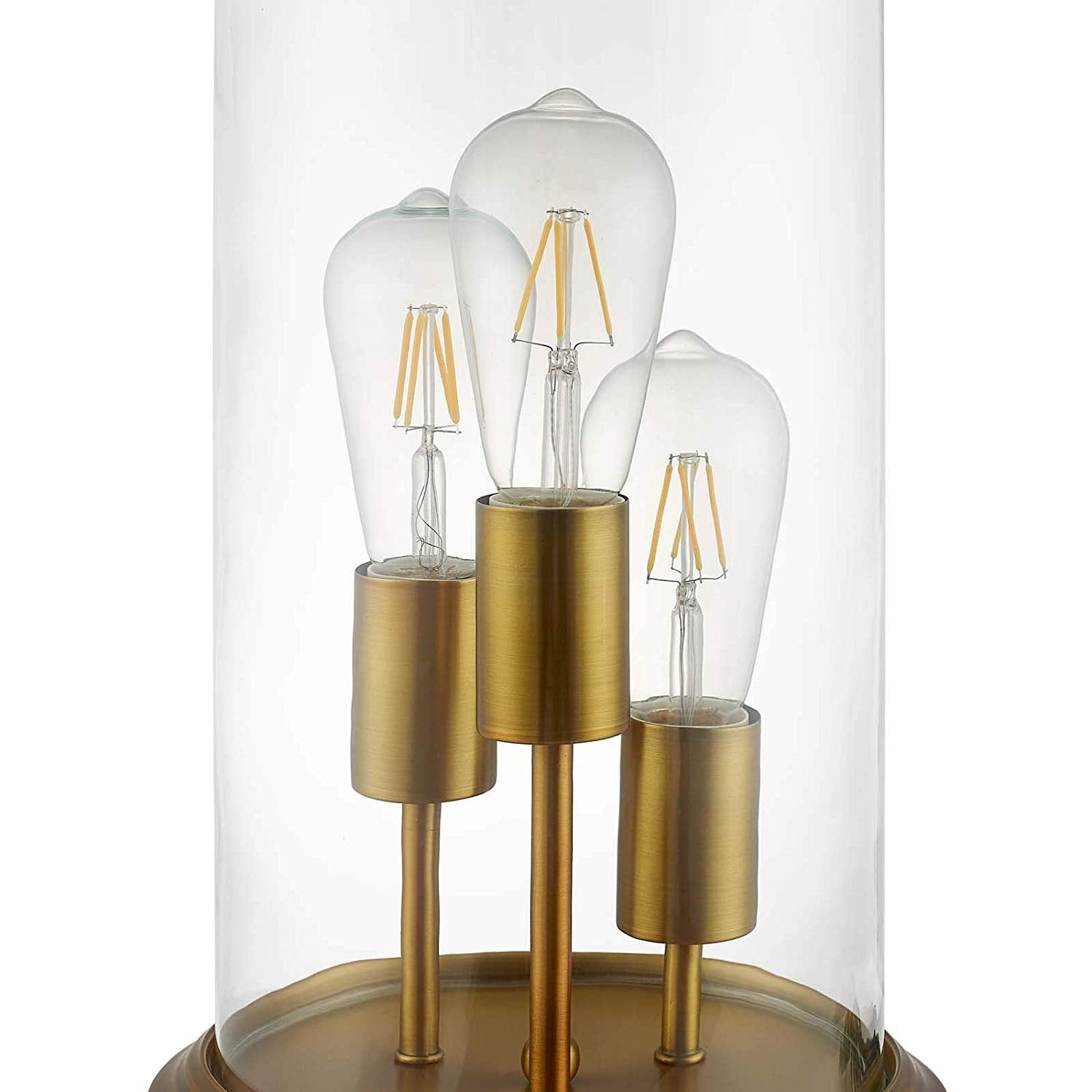 Modway Admiration Cloche Table Lamp | Table Lamps | Modishstore-5