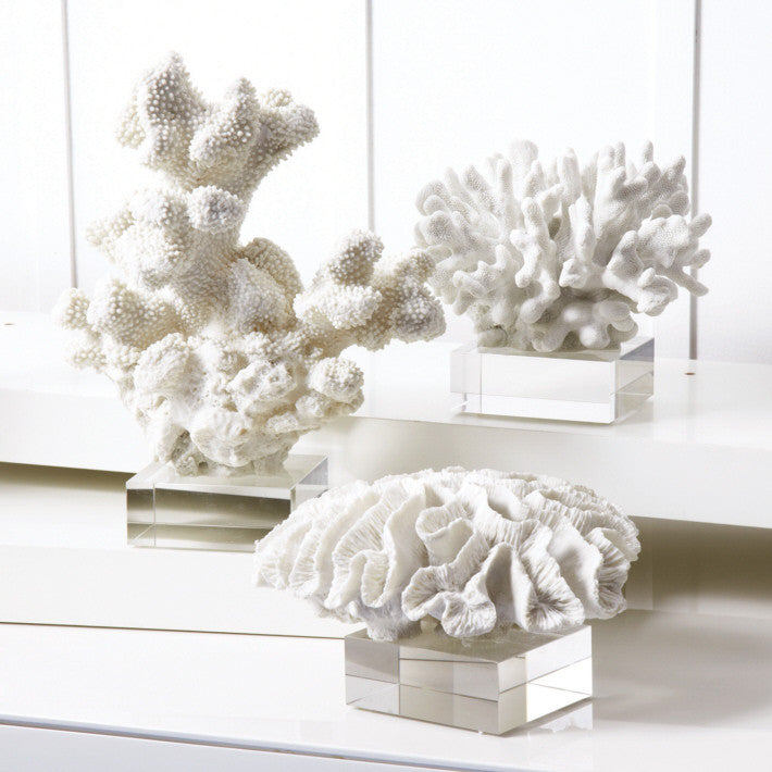 Two's Company S/3 White Coral Sculpture On Glass