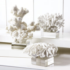Two's Company Set Of 12 White Coral Sculpture On Glass