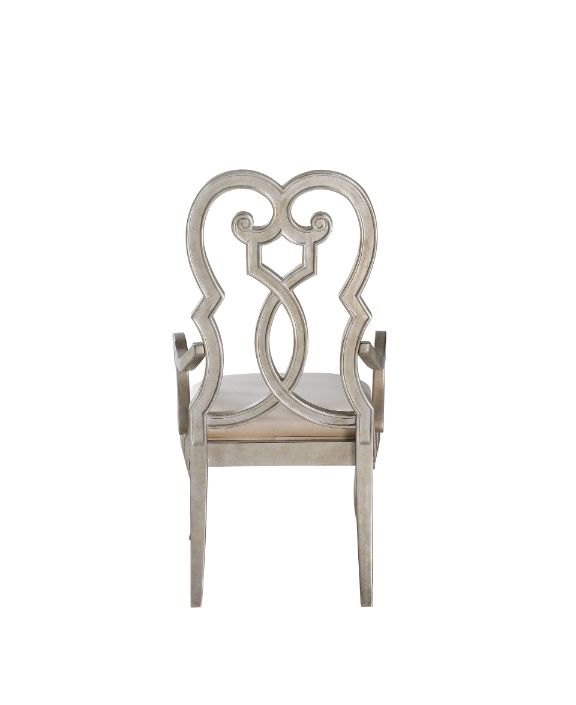 Esteban Arm Chair Set-2 By Acme Furniture | Armchairs | Modishstore - 2