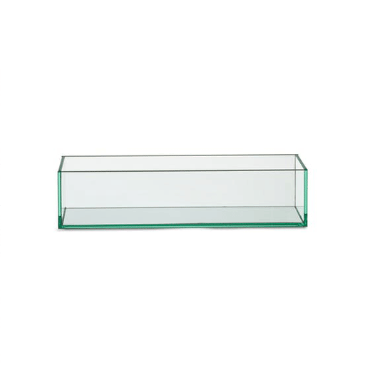 Vision Vase-Trough-Clear by Texture Designideas | Vases | Modishstore