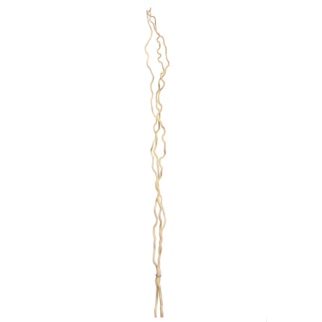 Kuwa Branch 5-6'L bleached Set Of 15 By Gold Leaf Design Group | Botanicals | Modishstore - 3