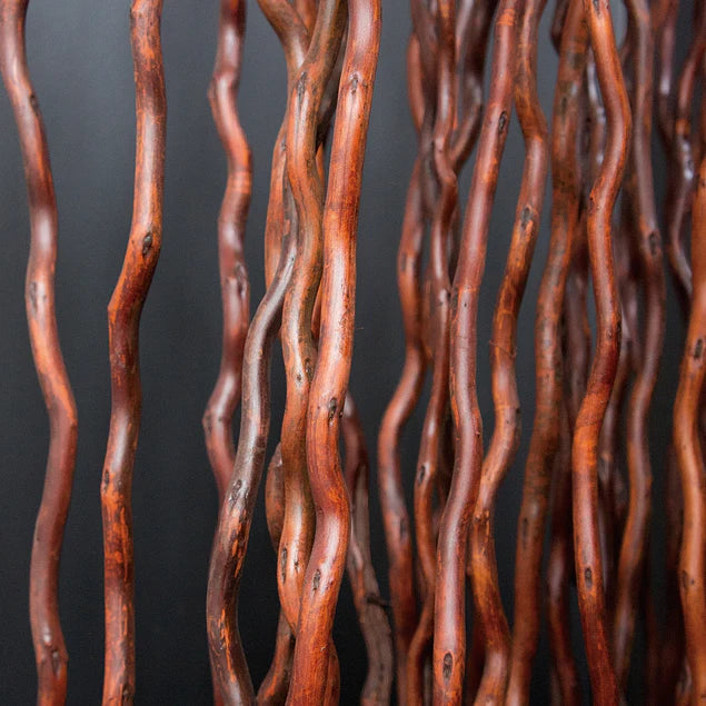 Kuwa Branch 5-6'L brown Set Of 15 By Gold Leaf Design Group | Botanicals | Modishstore - 2