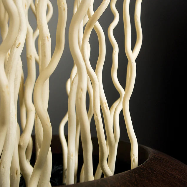 Kuwa Branch 5-6'L bleached Set Of 15 By Gold Leaf Design Group | Botanicals | Modishstore - 2