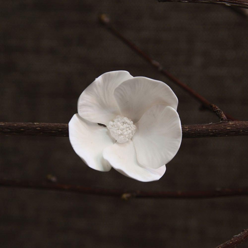 HomArt Bone China Dogwood Flower - White - Set of 6 - Feature Image | Modishstore | Botanicals