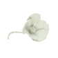 HomArt Bone China Dogwood Flower - White - Set of 6-2
