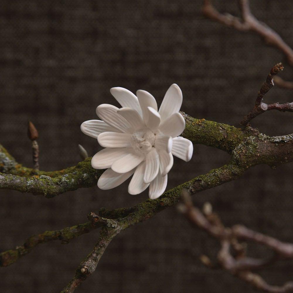 HomArt Bone China Curled Magnolia Flower - White - Set of 6 - Feature Image | Modishstore | Botanicals