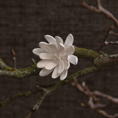 HomArt Bone China Curled Magnolia Flower - White - Set of 6