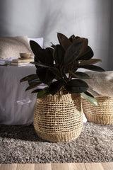Enfield Open Weave Seagrass Basket By Accent Decor