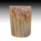 Petrified Wood Log Stool 13"x 9"x 18"H -PFST0673/24-6