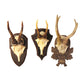 The Hunt Club Reproduction Antler Trophy Set Of 3 By Two's Company | Trophy Head | Modishstore - 2