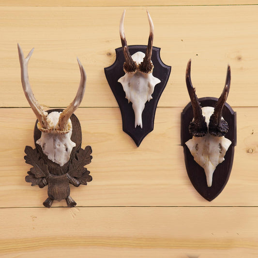 The Hunt Club Reproduction Antler Trophy Set Of 3 By Two's Company | Trophy Head | Modishstore