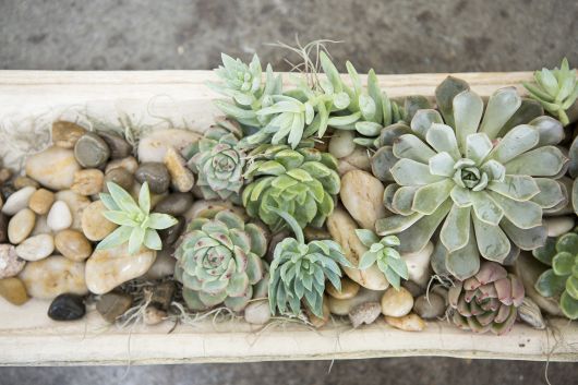 Fortune Wood Boat shaped Decorative Trays By Accent Decor-2 Shapes | Trays | Modishstore - 5