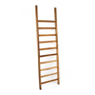 Takara ladder | Shelves & Shelving Units | Modishstore