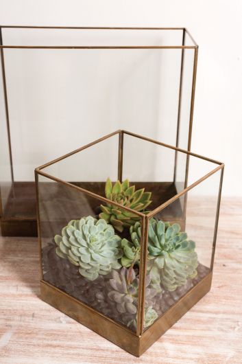 Coleman Glass top Display Box By Accent Decor- 3 Shapes | Display Cases | Modishstore - 4
