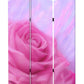 Screen Gems Flourish Screen - SG-139 | Room Divider | Modishstore